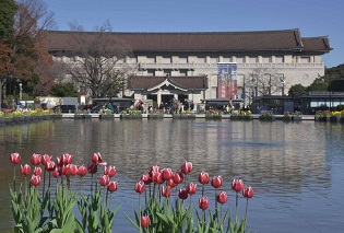 東京国立博物館の写真