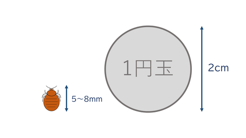 トコジラミの大きさ