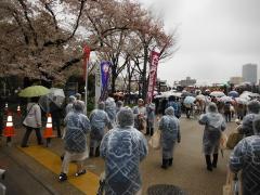 桜橋花まつりの様子2