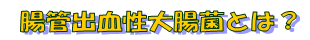 腸管出血性大腸菌とは？