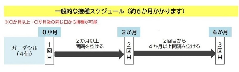 一般的な接種スケジュール